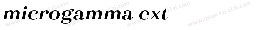 microgamma ext字体转换
